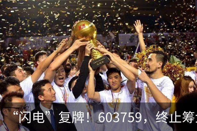 “闪电”复牌！603759，终止筹划重大事项